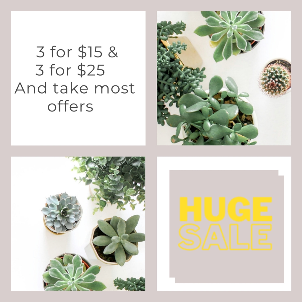 BIG SALE